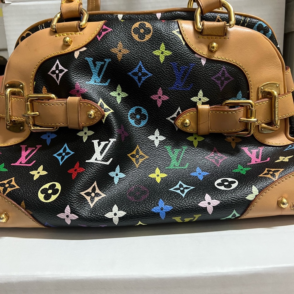 Louis Vuitton Multicolor Monogram Bag